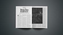 Brave New Harvest Brave New Harvest