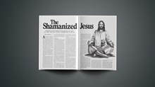 The Shamanized Jesus