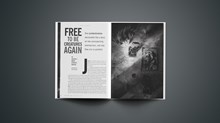 Free to Be Creatures Again Free to Be Creatures Again