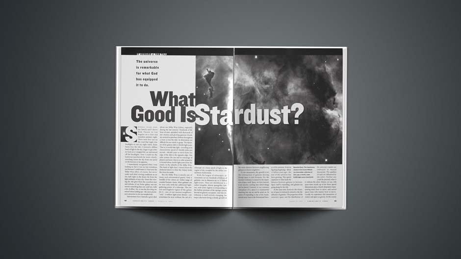 What Good is Stardust?