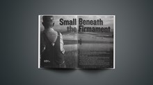 Small Beneath the Firmament