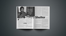 The Secret Shelter The Secret Shelter