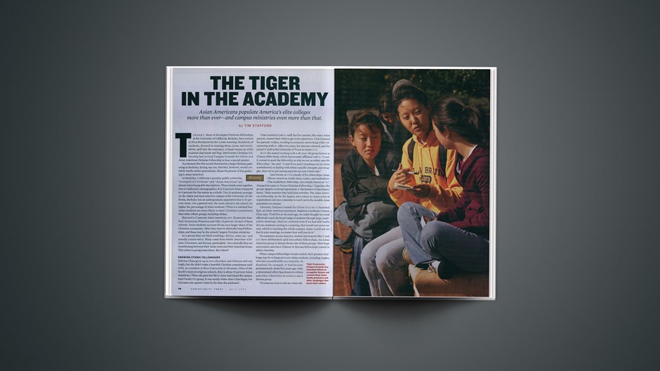 The Tiger in the Academy
