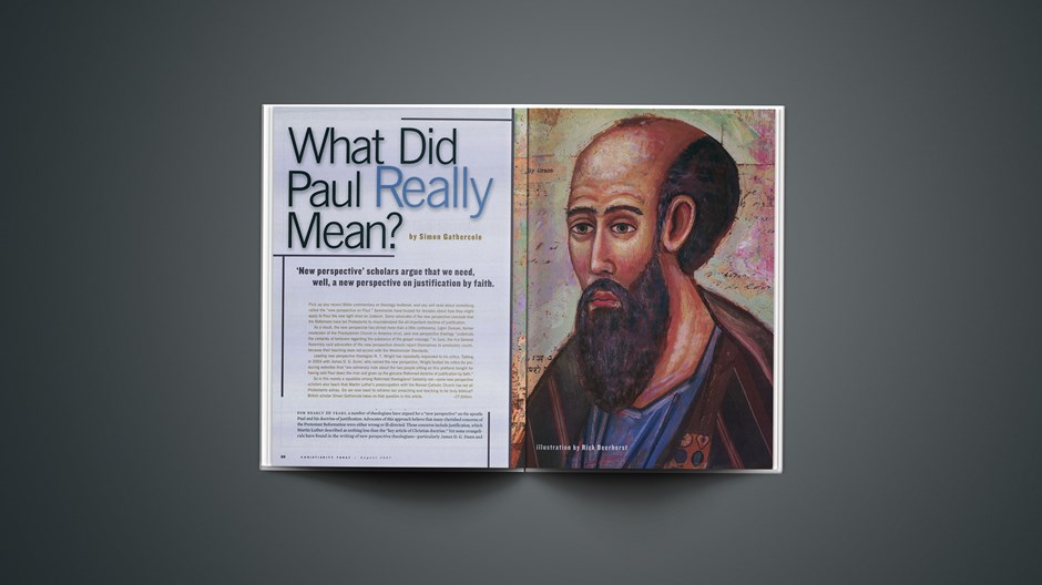 What Did Paul Really Mean?