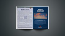 Big Picture Evangelicalism Big Picture Evangelicalism