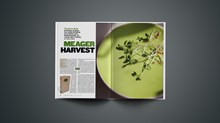 <i>Green Bible</i> Pollution <i>Green Bible</i> Pollution