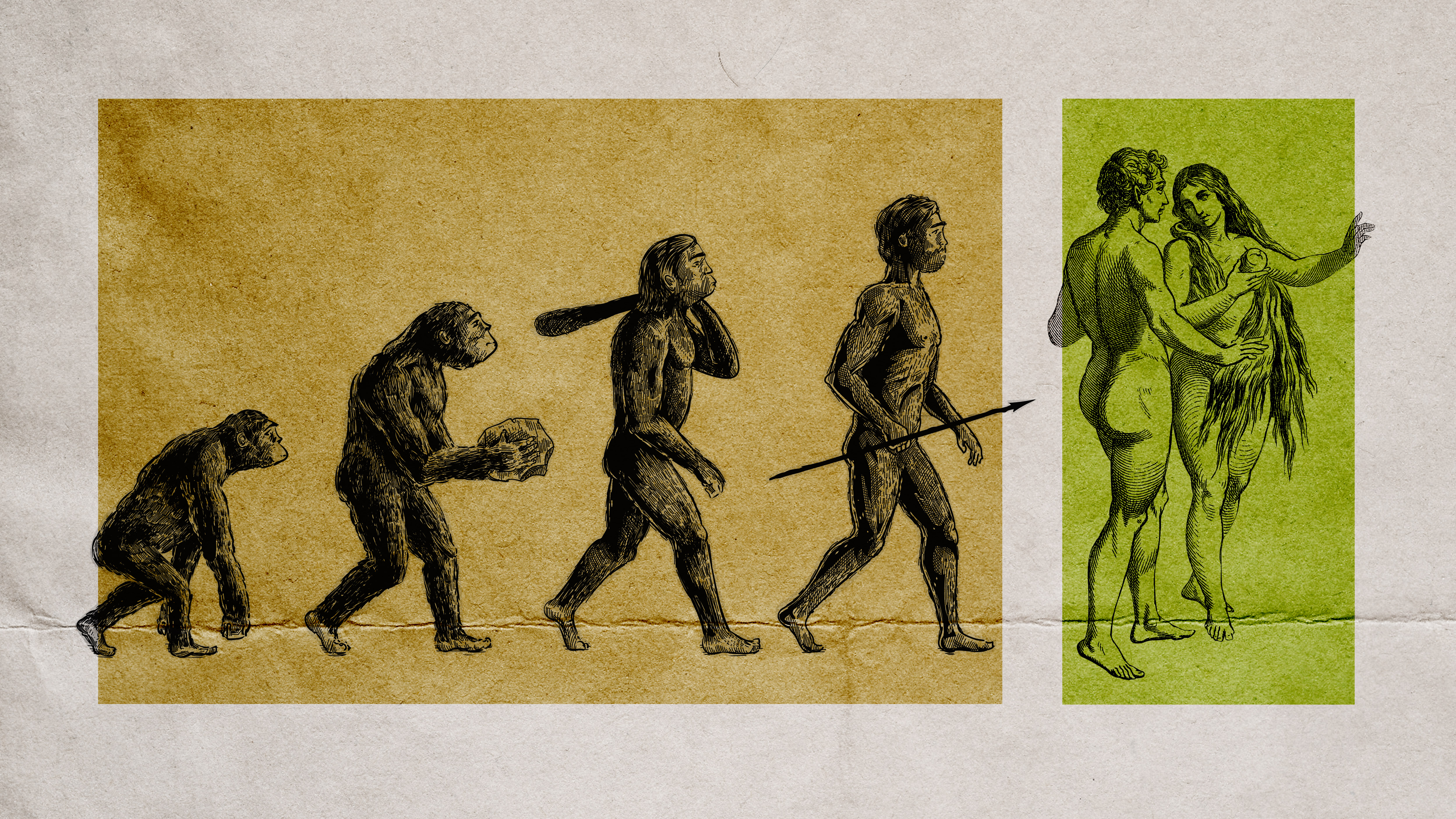 What If We Don't Have to Choose Between Evolution and Adam and E... |  Christianity Today