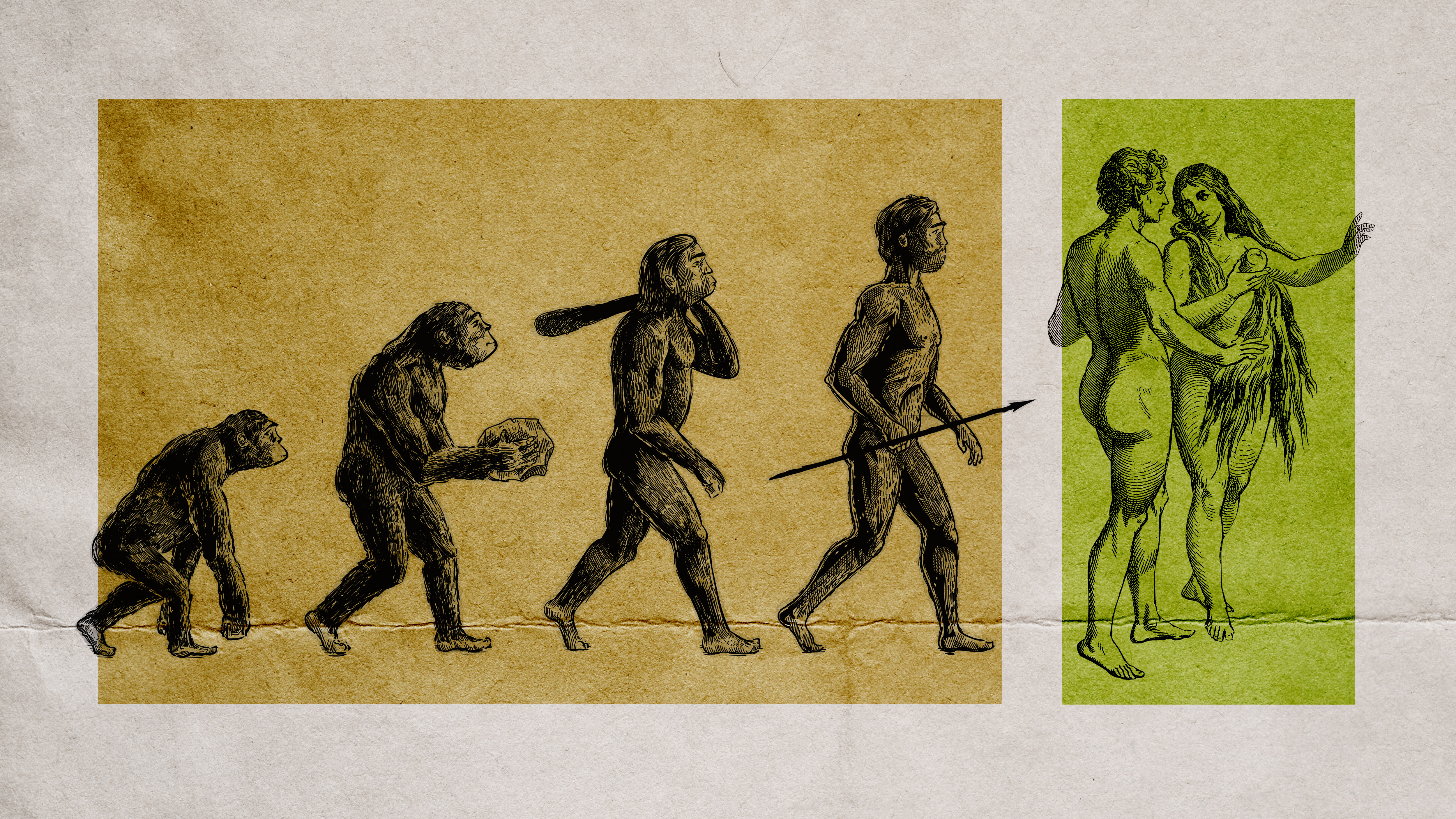 Evolution doesn't proceed in a straight line – so why draw it that way?