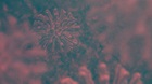 Tiny Things in Terrible Times Tiny Things in Terrible Times