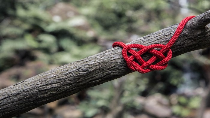 Weekly Meanderings, 4 April 2020 Weekly Meanderings, 4 April 2020