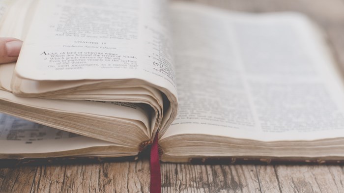 Jesus as Holy Warrior in the Book of Revelation Jesus as Holy Warrior in the Book of Revelation