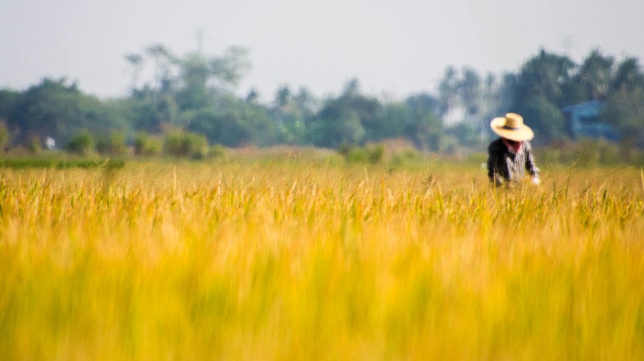 Seeking the Lord of the Traveling Harvest