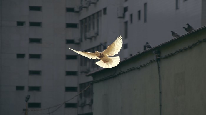 When the Spirit Rests upon Us When the Spirit Rests upon Us