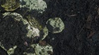 Tests Into Treasure Tests Into Treasure