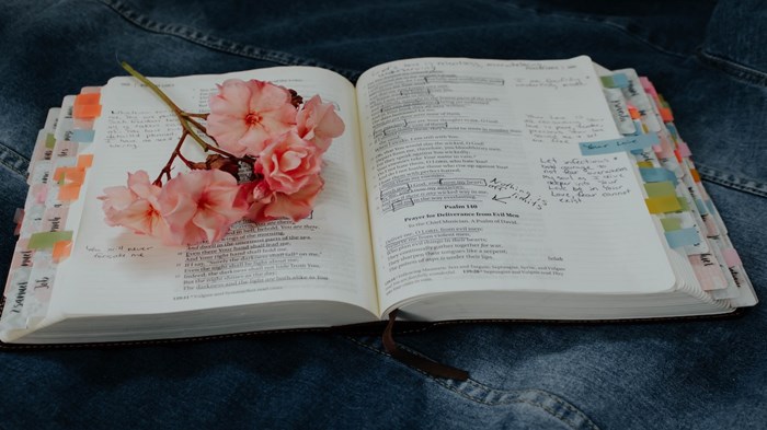 Pretty Bibles for Women Pretty Bibles for Women