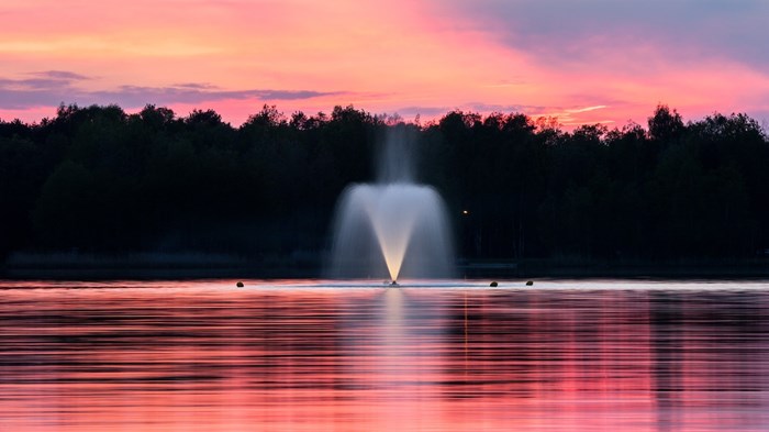 Almighty God, the fountain of all wisdom