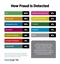 How Fraud Is Detected How Fraud Is Detected