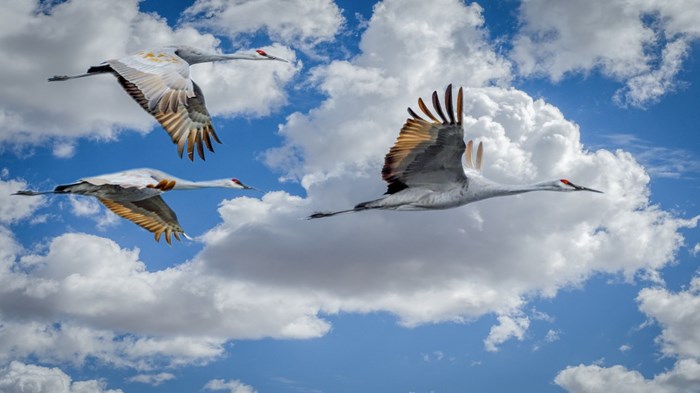 Weekly Meanderings, 19 September 2020 Weekly Meanderings, 19 September 2020