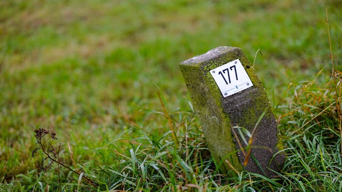 Broken Signposts Broken Signposts