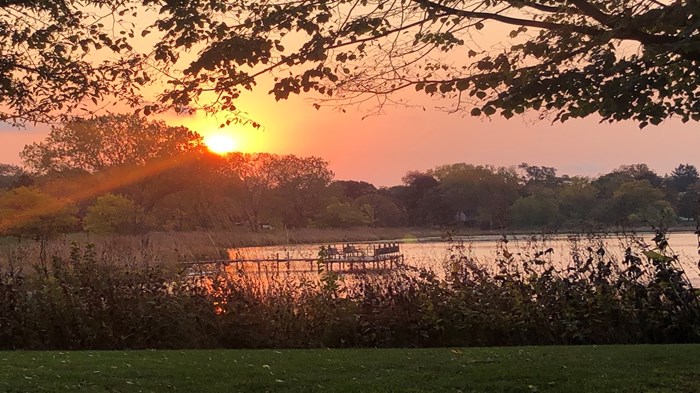Weekly Meanderings, 24 October 2020 Weekly Meanderings, 24 October 2020