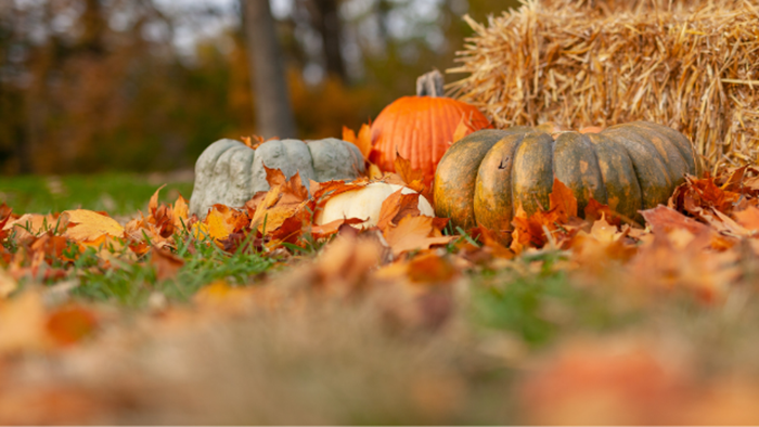 Americans Most Thankful for and to Family This Thanksgiving Americans Most Thankful for and to Family This Thanksgiving
