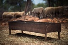 Why the Feeding Trough? Why the Feeding Trough?