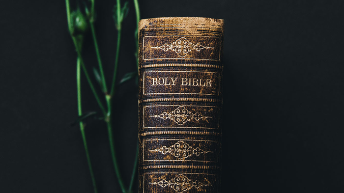 20 Scriptures to Read While Navigating Reopening the Church 20 Scriptures to Read While Navigating Reopening the Church