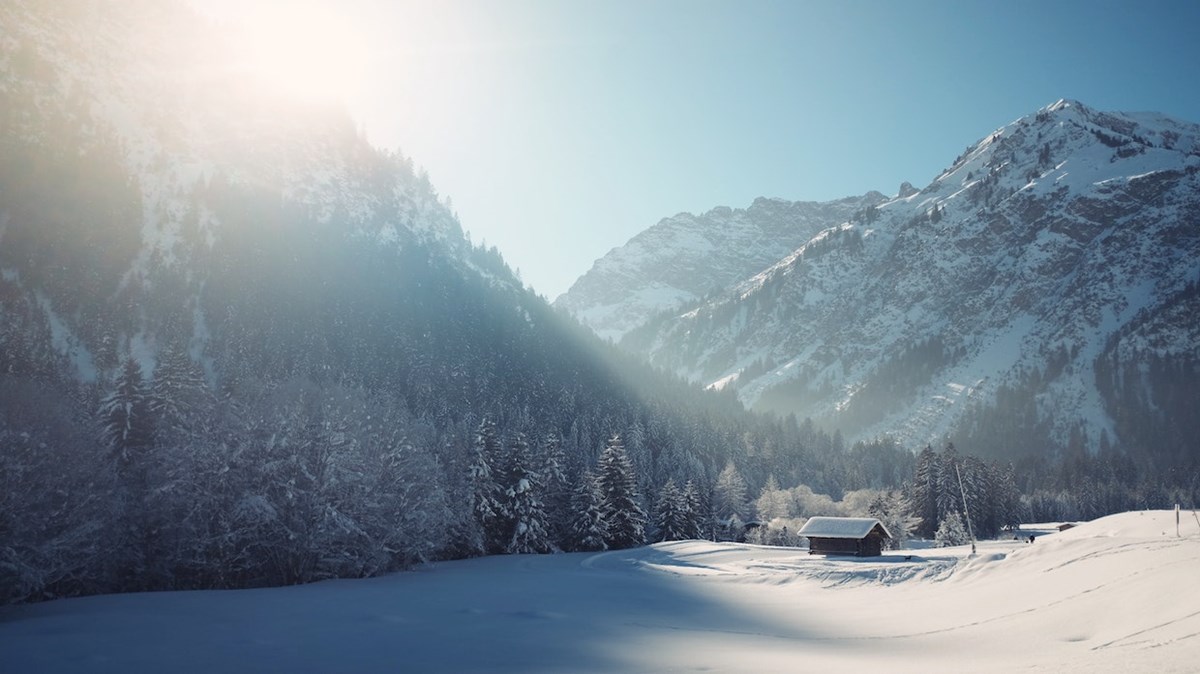 Weekly Meanderings 30 January 2021 - Vimarsana News