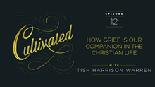 Tish Harrison Warren: How Grief is Our Companion in the Christian Life Tish Harrison Warren: How Grief is Our Companion in the Christian Life