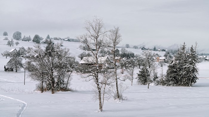 Weekly Meanderings 6 February 2021 Weekly Meanderings 6 February 2021