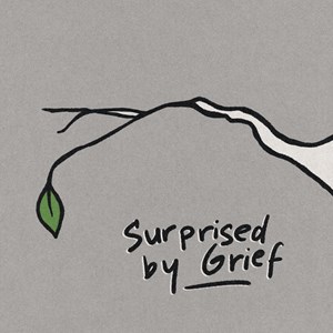 Surprised by Grief