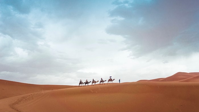 The Story of God's People Is Also a Story of Migrants The Story of God's People Is Also a Story of Migrants