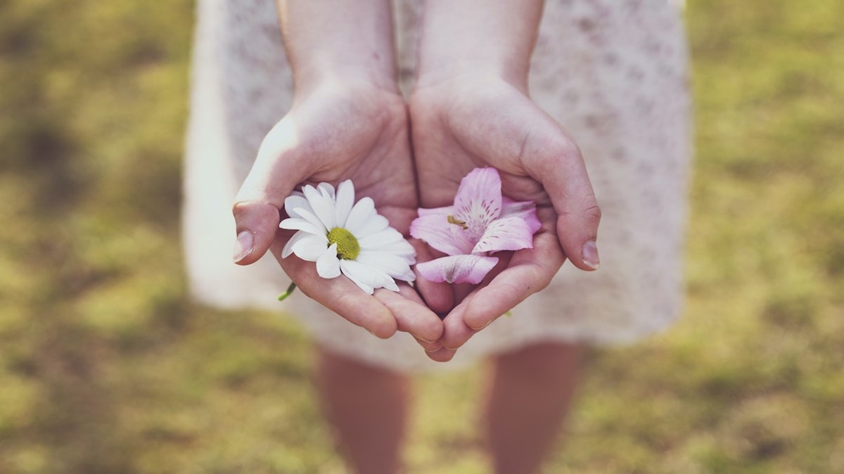 Weekly Meanderings, 27 February 2021 - Vimarsana News