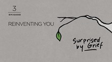 Reinventing You Reinventing You