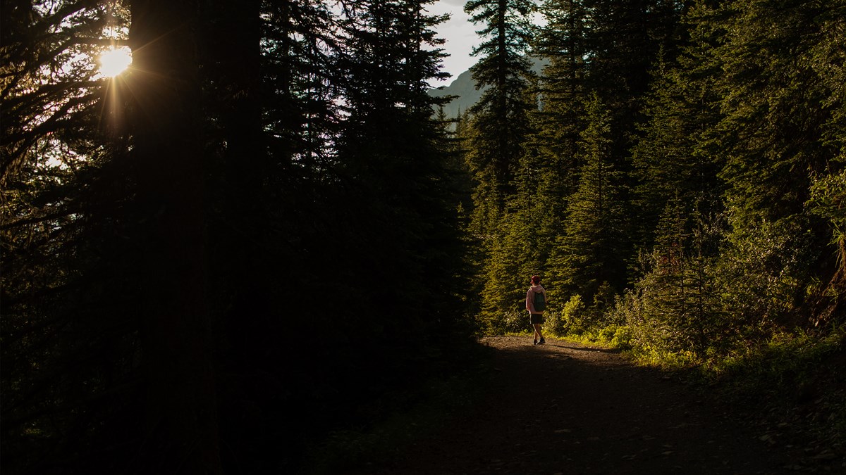 5 Books That Help Believers Persevere Through Dou... - Vimarsana News