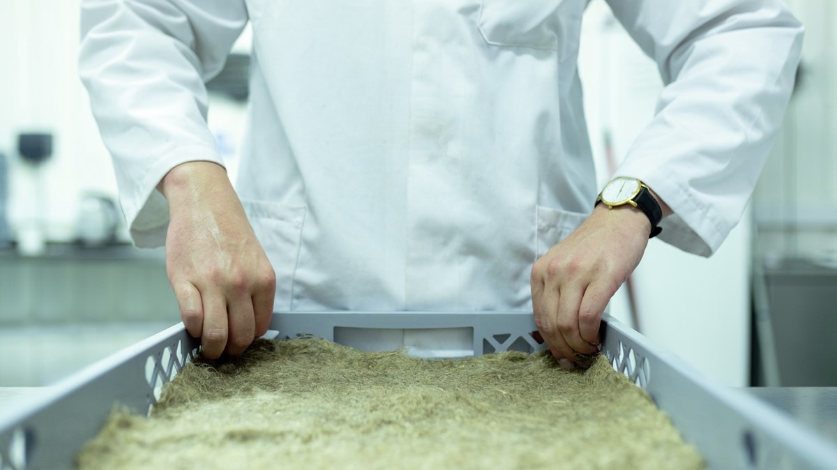 Scientists Are Reporting Hostility From Their Own Churches... | The Better Samaritan with Jamie Aten and Kent Annan - Vimarsana News