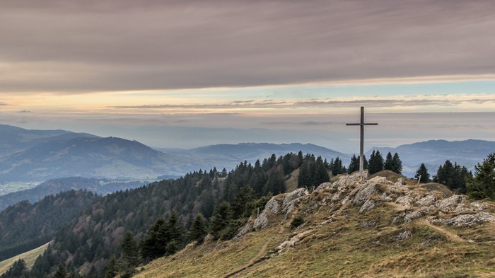 Weekly Meanderings 3 April 2021 Weekly Meanderings 3 April 2021