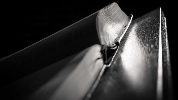 How the Text Can Style the Sermon How the Text Can Style the Sermon