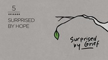 Surprised by Hope Surprised by Hope