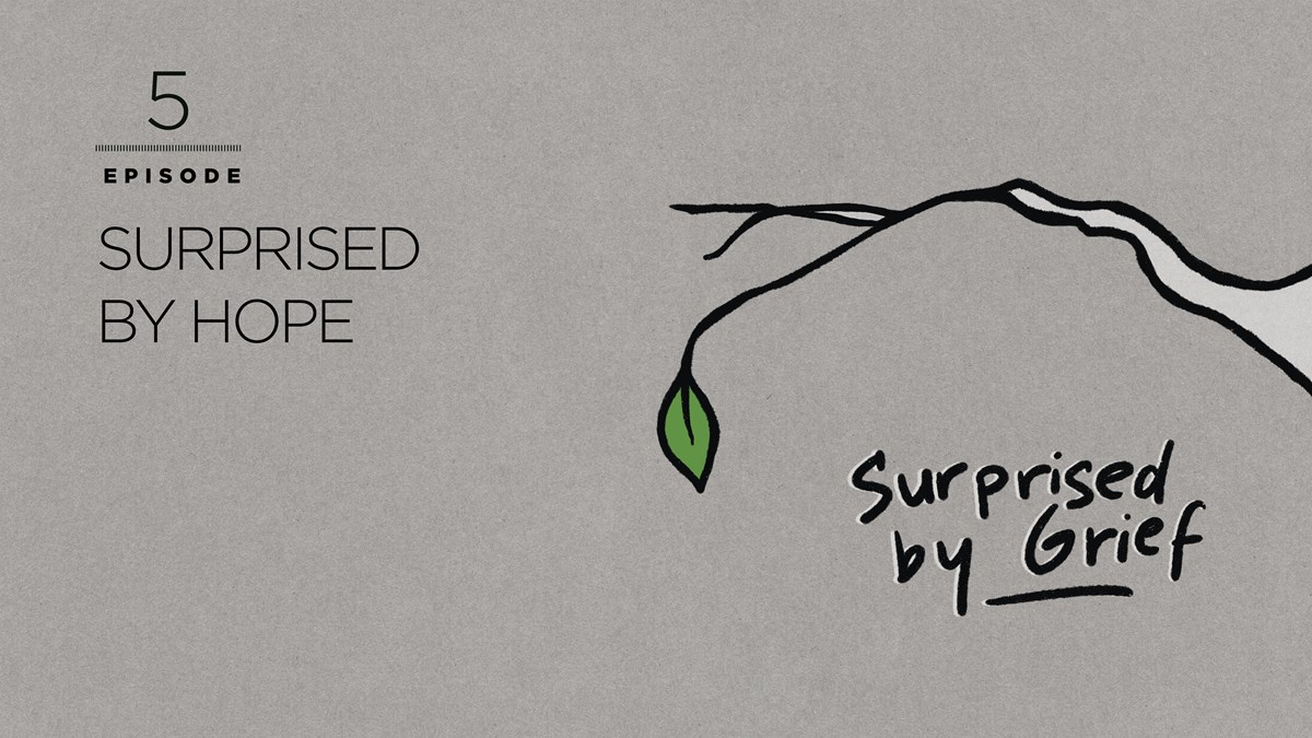 Surprised by Hope - Vimarsana News