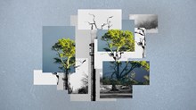 Why All The Concern Over Carbon? Why All The Concern Over Carbon?