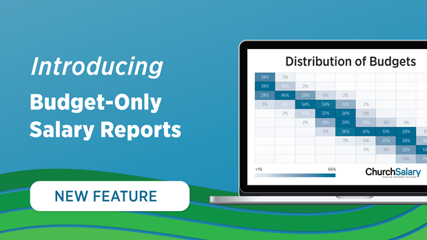 Introducing Budget-Only Reports