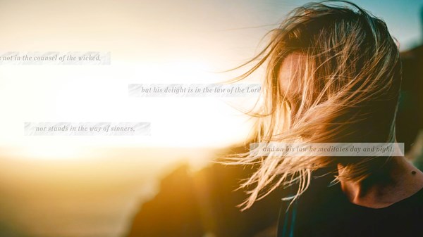 Meditasi Alkitab Menjanjikan Sesuatu Yang Lebih B Christianity Today