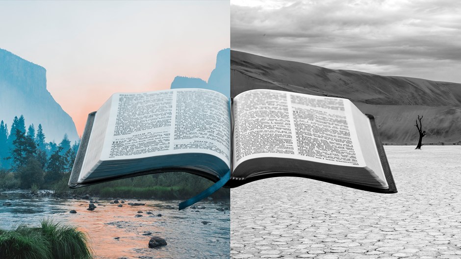 Why I Stopped Calling Parts of the Bible ‘Boring’