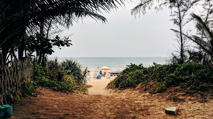 Weekly Meanderings, 12 June 2021 Weekly Meanderings, 12 June 2021