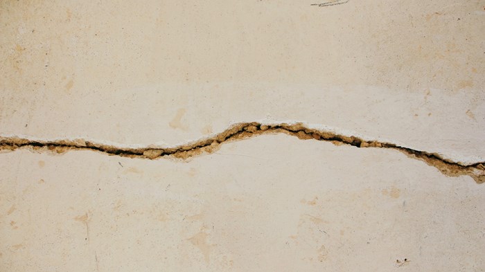 What Did You Hold on to for Dear Life When the Universe Cracked? What Did You Hold on to for Dear Life When the Universe Cracked?