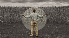 Why Environmental Destruction Is Bad for Worship Why Environmental Destruction Is Bad for Worship