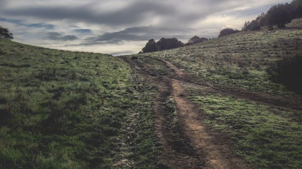 The Homiletic Incline The Homiletic Incline