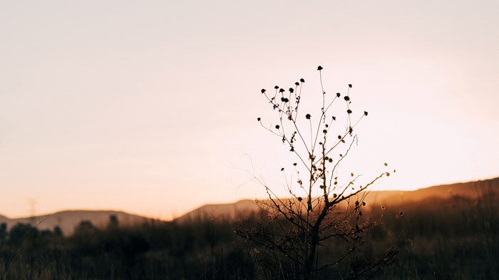 Victim-centric and Pastoral Authority Victim-centric and Pastoral Authority