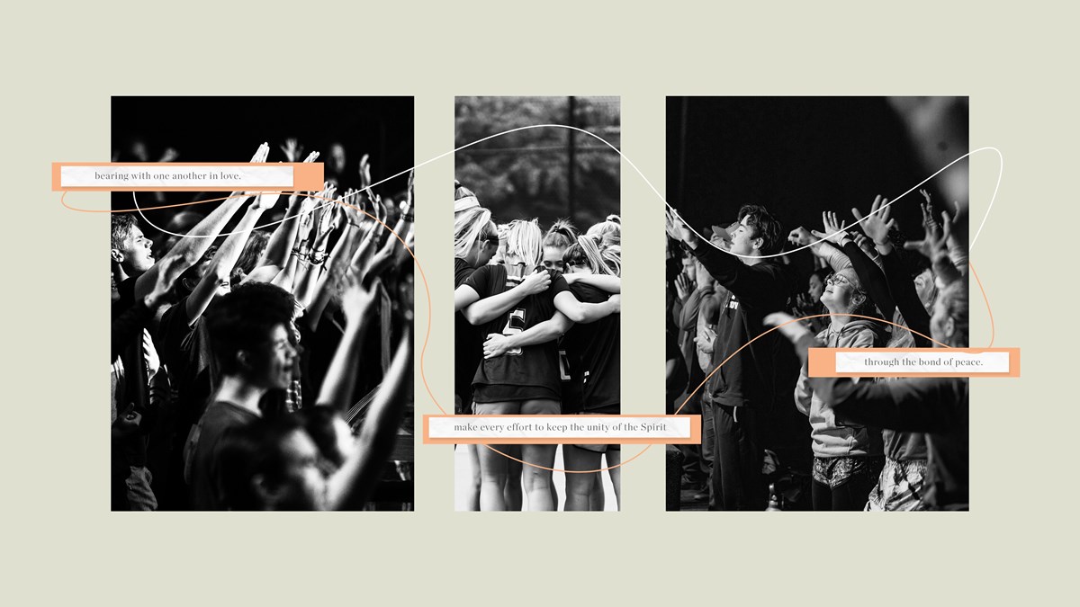 We Really Are on the Same Team - Vimarsana News